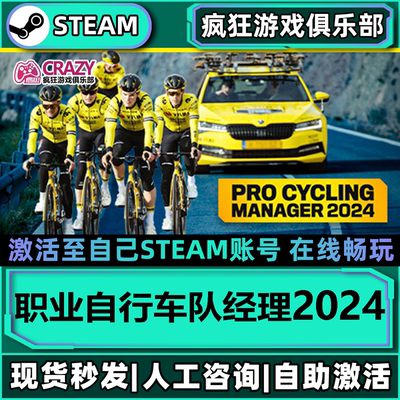 steam职业自行车队经理2024游戏