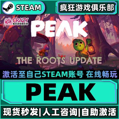 SteamPEAK拉我一把激活自己库里