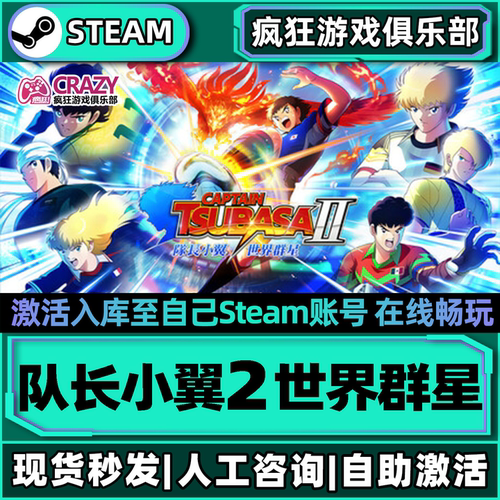队长小翼2世界群星Steam激活游戏