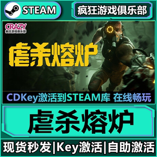 CDKey入库KIBORG全DLC动作角色扮演游戏 激活码 Steam正版 虐杀熔炉