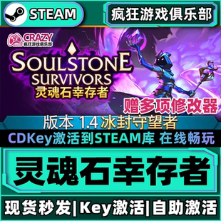 Steam正版灵魂石幸存者 全DLC游戏激活码入库Soulstone Survivors