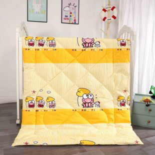 空调被儿童春秋被宝宝床幼儿园午睡纯棉小被子羽丝绒可机洗夏凉被