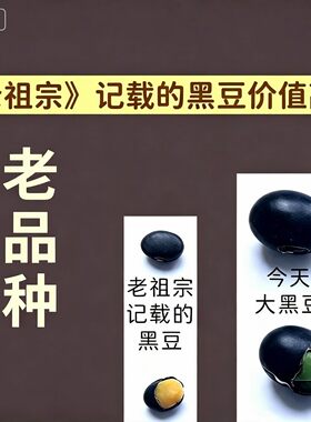 天然豆浆小黑豆新货老品种中式药肾形黄心非绿心芯非东北有机黑豆