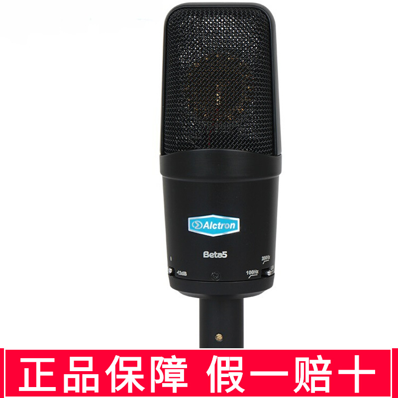 Alctron爱克创bea5大振