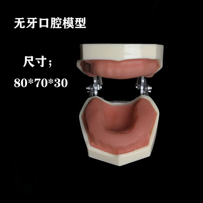 口腔教学练习无牙龈模型系列,下颚骨带8颗牙