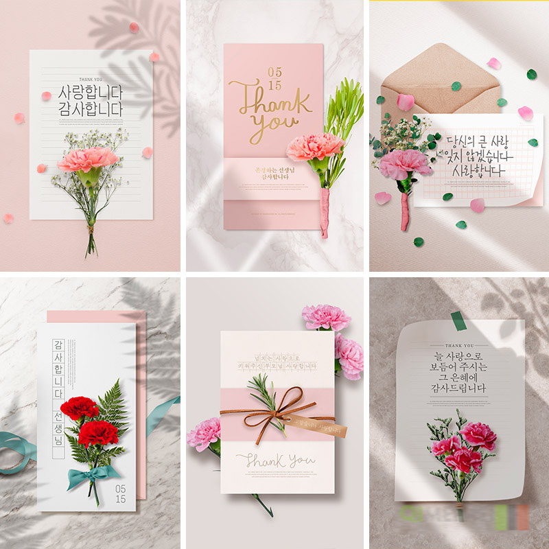 5月花鲜花价格 5月花鲜花图片 星期三