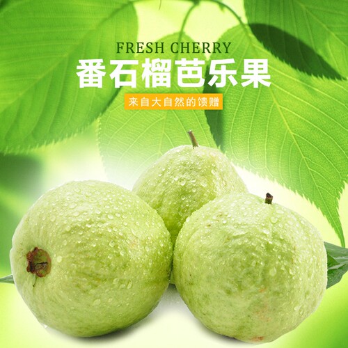 芭乐果现摘现发番石榴清脆脆口