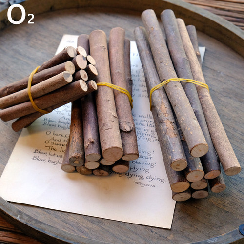 天然干树枝幼儿园手工diy材料