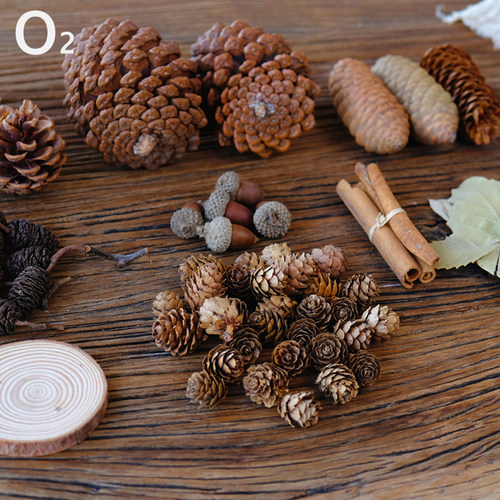 天然干果树叶幼儿园手工diy复古