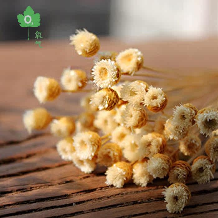【快乐花】永生纽扣菊磨菇花自然干花手工DIY材料盒花束花环配材