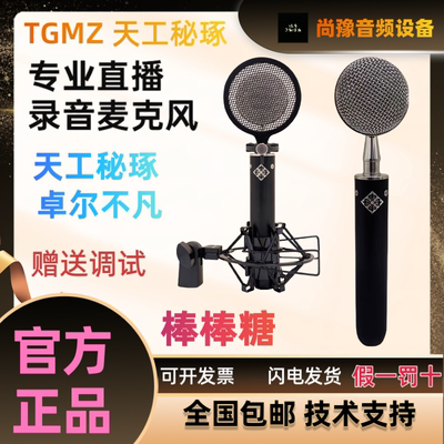 天工秘琢/TGMZ大振膜电容麦克风专业录音有声小说精致小巧棒棒糖