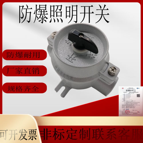 防爆开关防爆照明开关