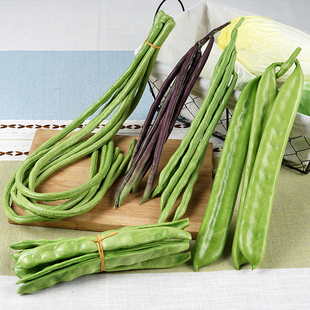 仿真假蔬菜四季豆角子假荷兰豆子豌豆刀豆冰箱厨房装饰拍直播道具