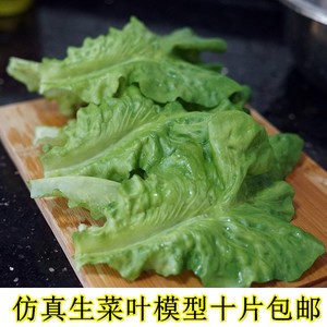 仿真生菜叶子片塑料胶绿叶八角金盘芭蕉叶子假水果店装饰软胶模型
