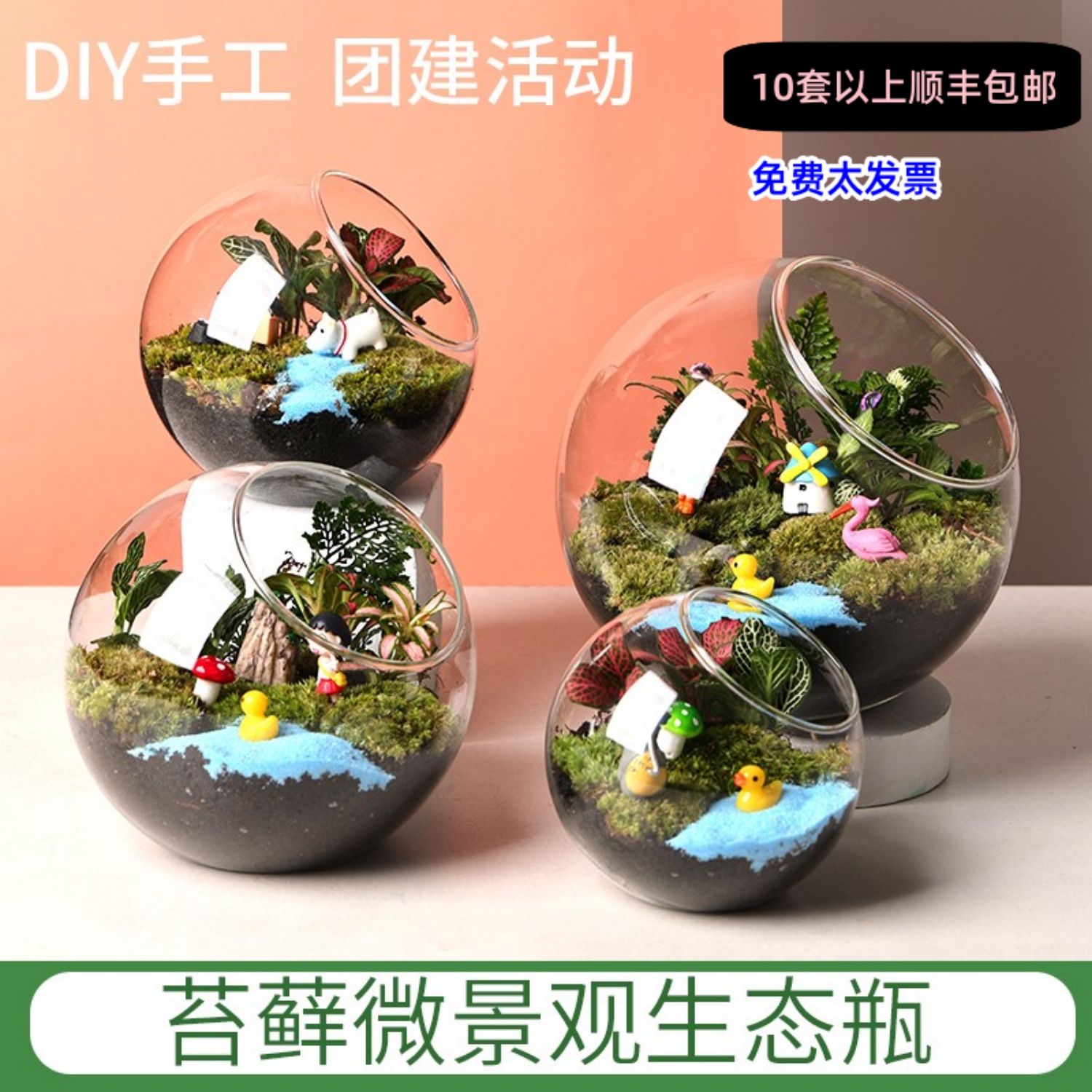 【暖场活动】微景观生态瓶多肉植物diy材料玻璃盆栽 摆件礼品套装