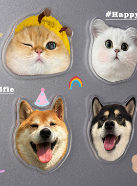 亚克力冰箱贴定制照片宠物小猫咪狗狗立体冰箱装饰感磁铁贴定做