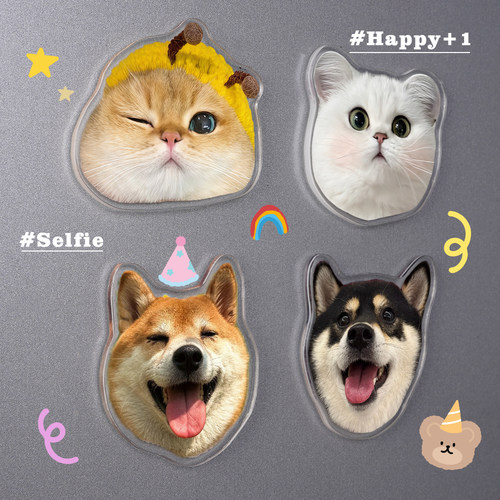 亚克力冰箱贴定制照片宠物小猫咪狗狗立体冰箱装饰感磁铁贴定做