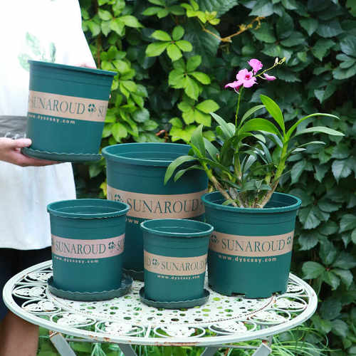 经典加仑盆环保树脂带托盘