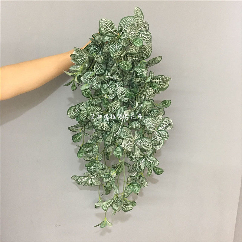 仿真绿植网纹叶小挂藤婚庆装饰藤蔓植物墙软装搭配植物网纹草垂挂