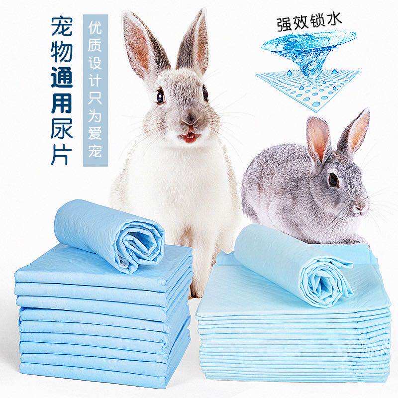 【除臭】加厚尿片宠物尿不湿龙猫