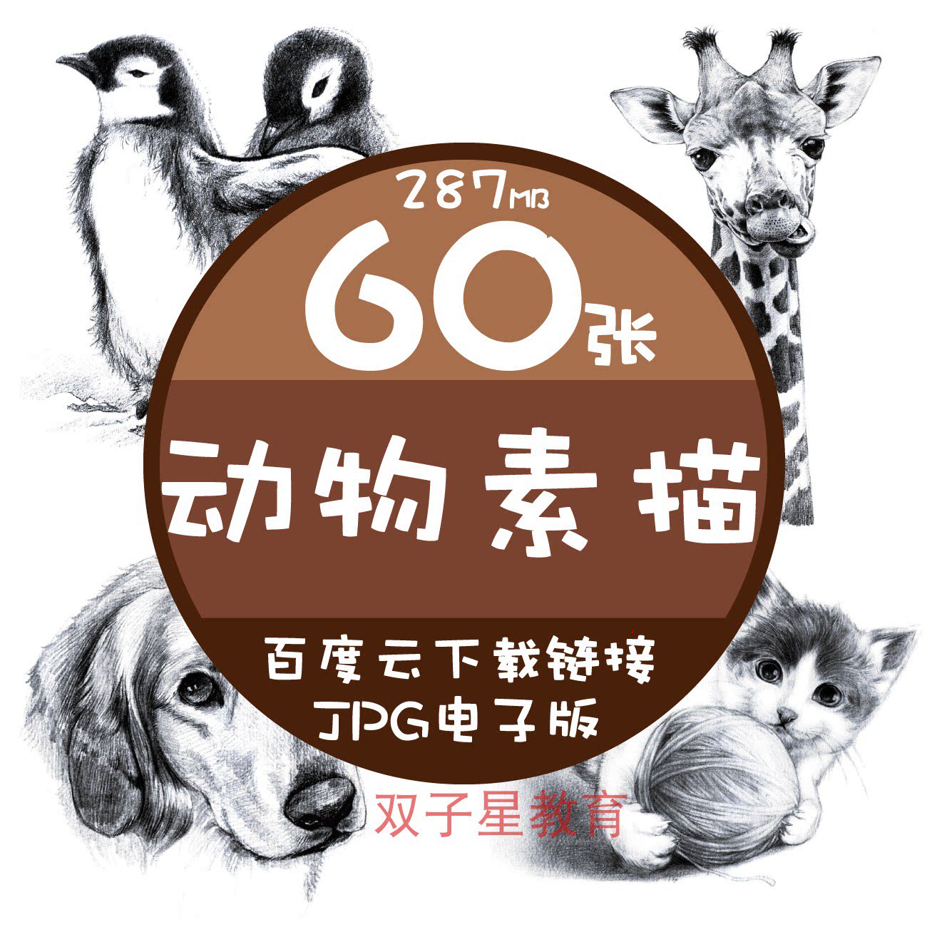60张动物素描电子图超萌铅笔黑白手绘儿童美术素描启蒙趣味素描图