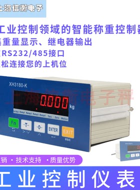 信衡4-20MA模拟量485ModbusRTU通讯继电器开关量控制工业控制仪表