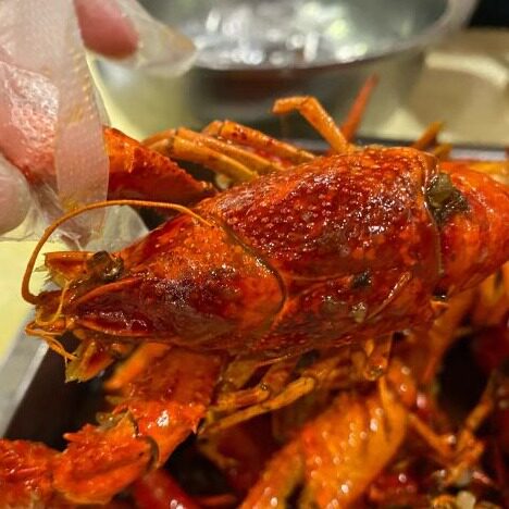 北京通乐饭馆簋街总店麻辣小龙虾蒜蓉清蒸龙虾