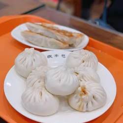 庆丰包子铺北京老字号纯手工现做包子素包半发面即食保质期10天