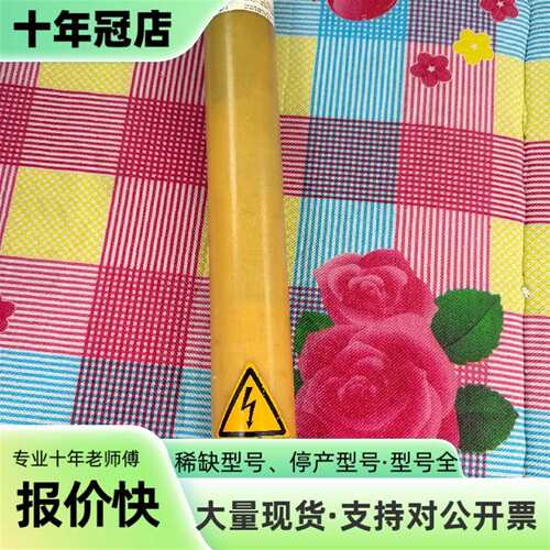 维修德国杜尔DURR高压发生器EcoHT G100     E1议价
