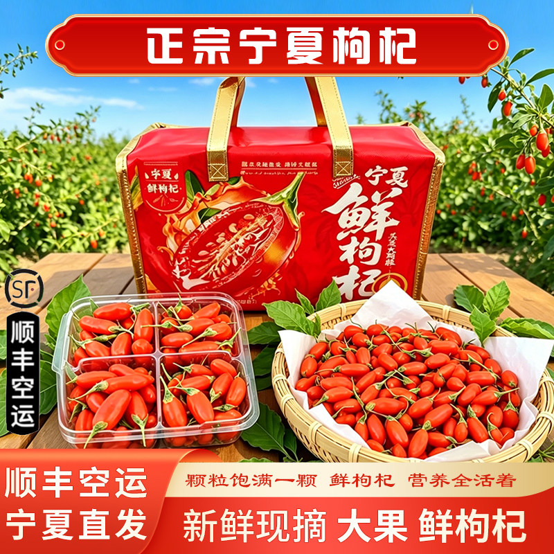 头茬新鲜枸杞子鲜果现摘即食礼盒
