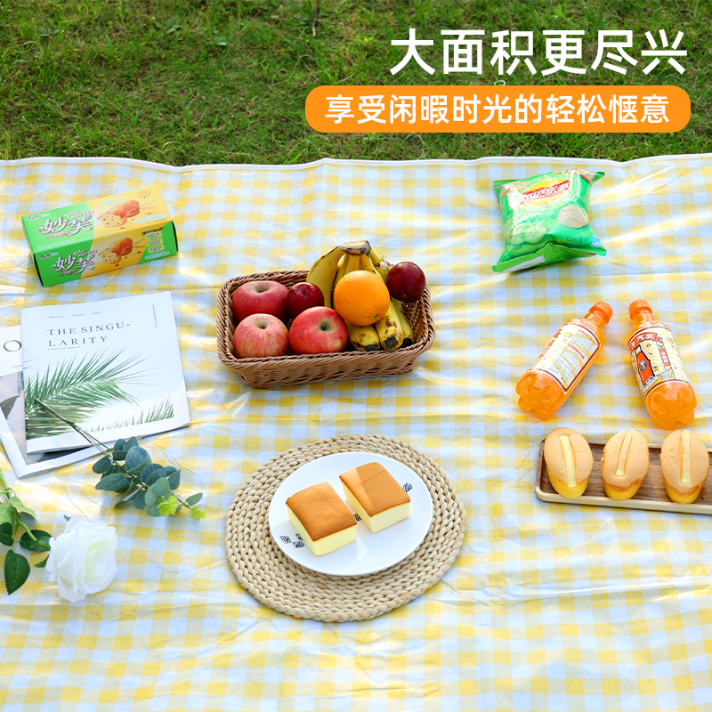 野餐垫防潮垫加厚户外露营野餐
