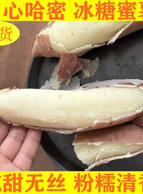 山东哈密冰糖薯新鲜白心蜜薯糖心红薯超甜沙地番地瓜农家自种5斤