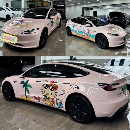 特斯拉Model Y 3车贴拉花海豹领克03雅阁3系黑皮KT猫车身卡通贴纸