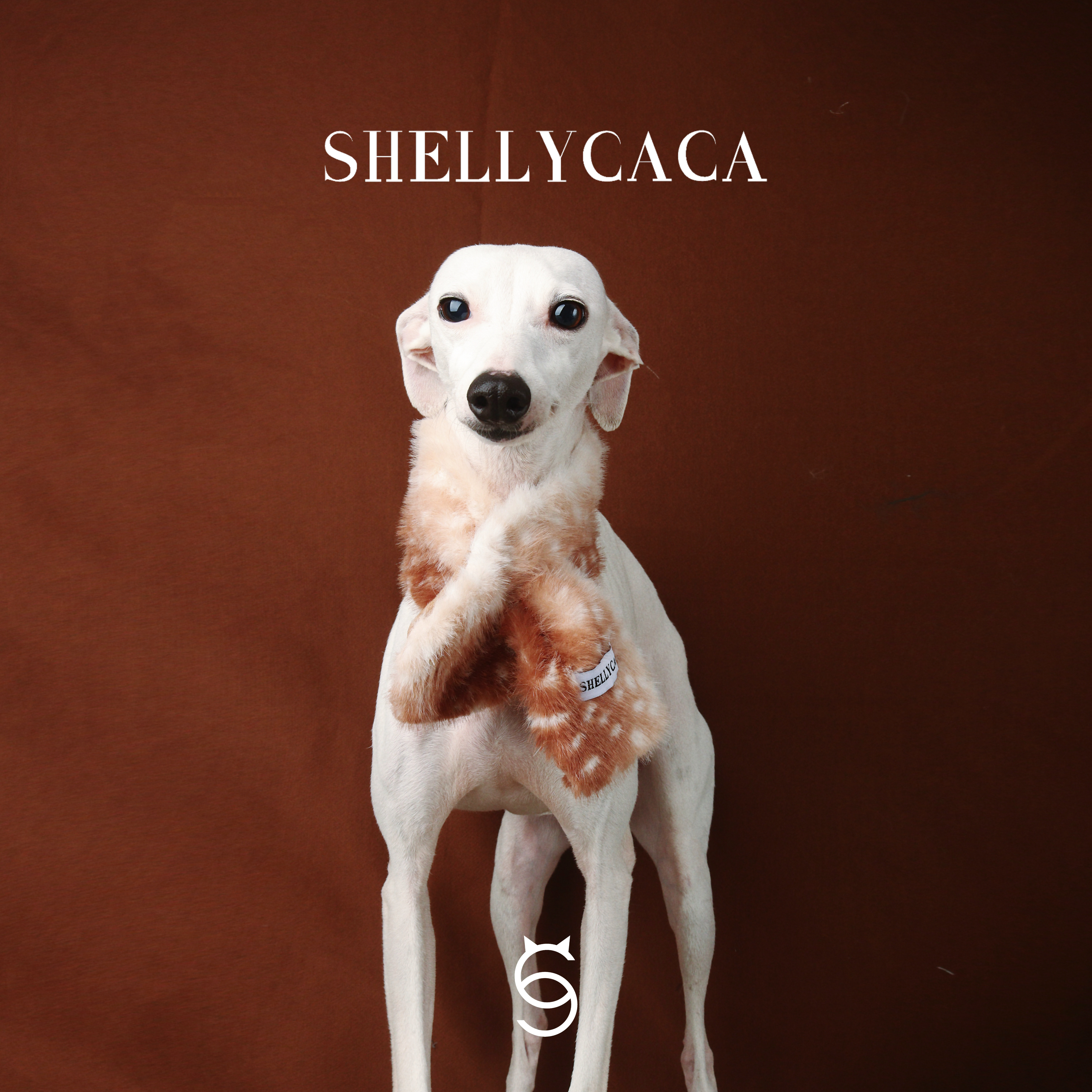 SHELLYCACA狗狗围巾狗狗围脖狗围巾狗围脖狗围巾狗围脖 圣诞小鹿