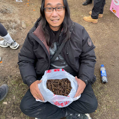 源头现收现发冬虫夏草西藏野生