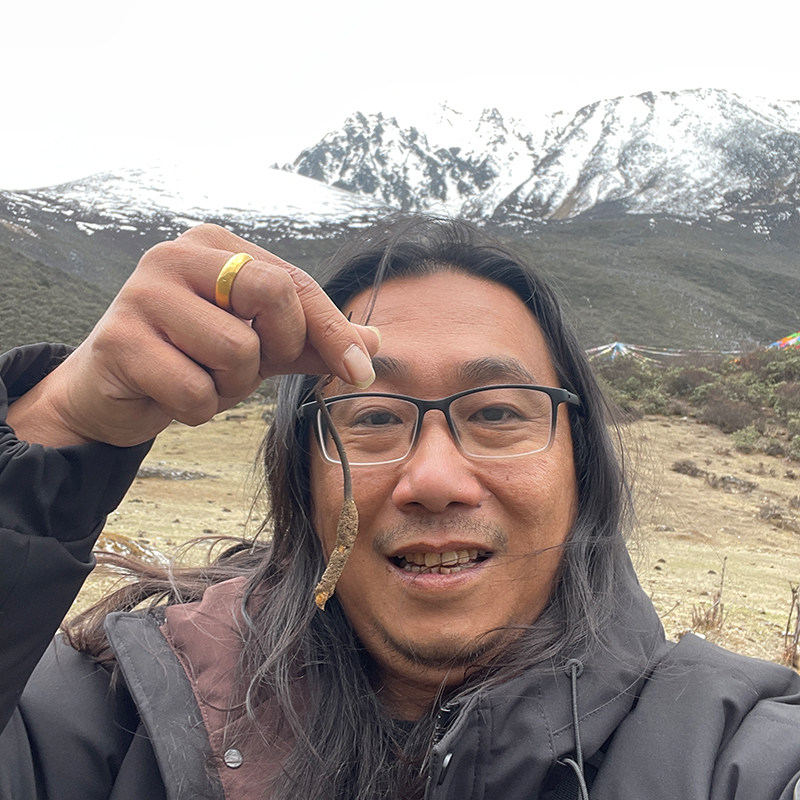 西藏直发【新鲜冬虫夏草】头茬2026年头期野生高海拔源头现收礼盒