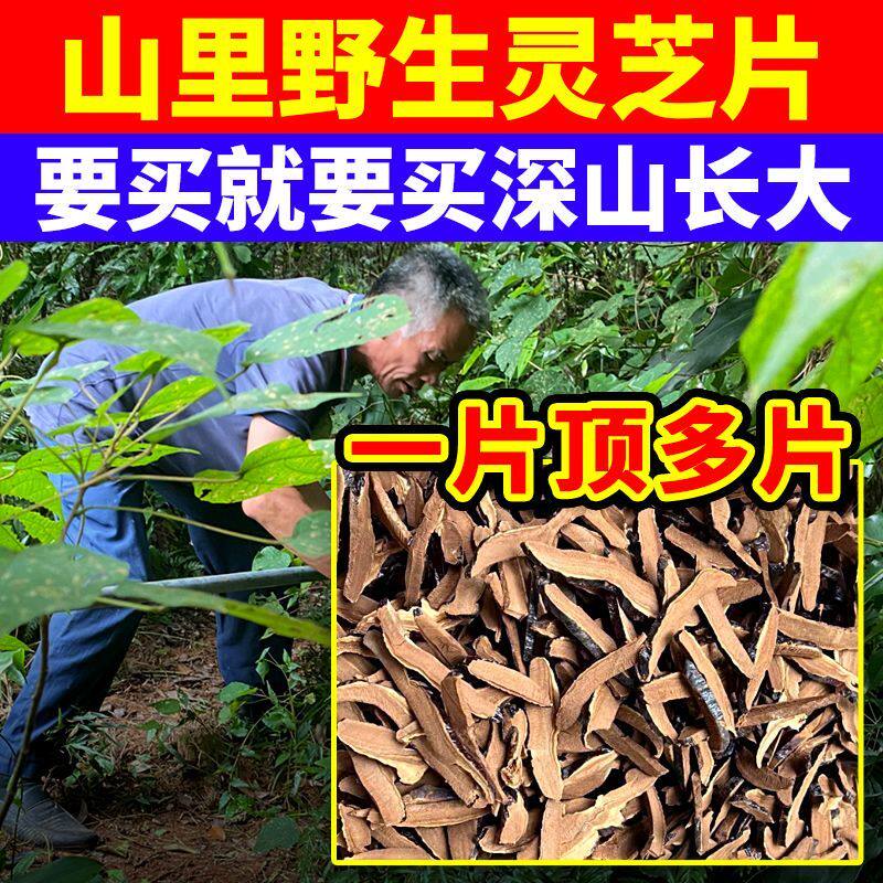 野生【灵芝片】500克云南深山干货切片泡水喝泡酒天然精选赤灵芝