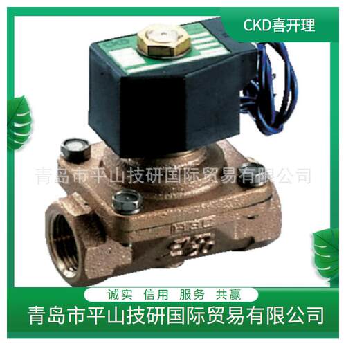 CKD喜开理A11-2502EV导式