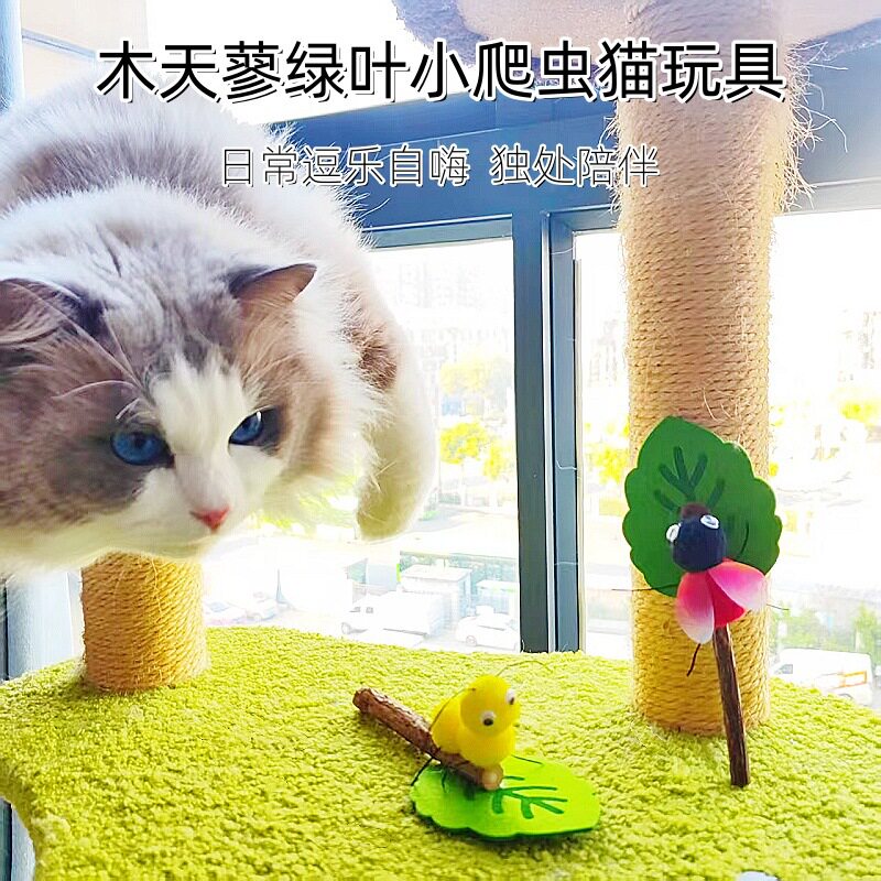 新款猫玩具木天蓼小爬虫磨牙棒耐咬自嗨解闷互动现货批发猫咪玩具