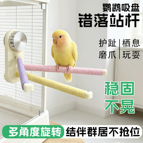 鹦鹉旋转站架吸盘设计鸟秋千可调节强力吸盘轻松站造型虎皮代发LP