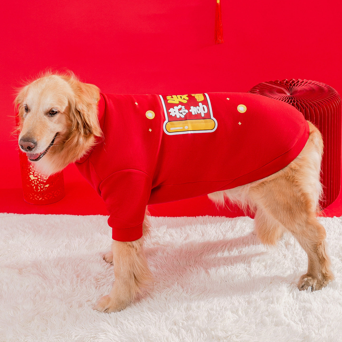 秋冬季中大型犬大狗狗新年喜庆两脚衣金毛萨摩耶边牧绒衣宠物衣服
