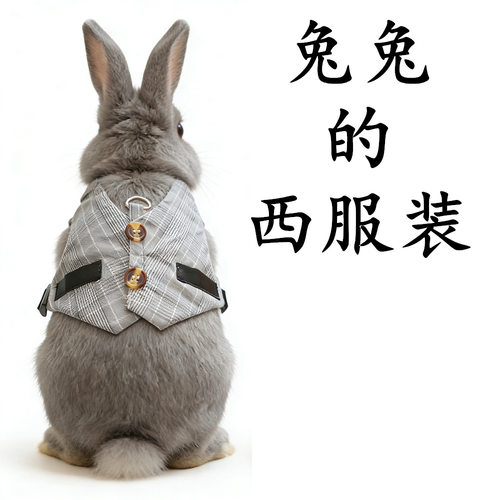 兔子牵引绳兔绳子兔兔绅士礼服兔子西服猫咪绳遛猫绳小狗狗礼服