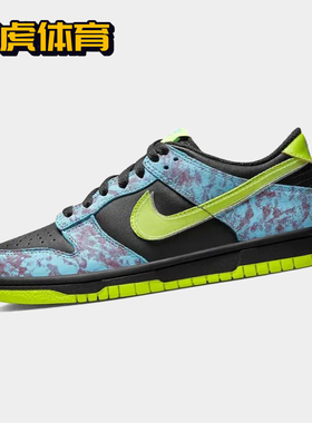 Nike Dunk Low GS 蓝绿色 女子低帮复古休闲运动板鞋 DV1694-900