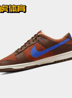 Nike Dunk Low 棕蓝色 男子低帮复古休闲运动板鞋 DR9704-200