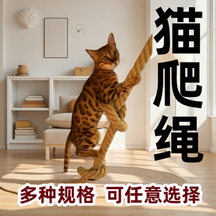 粗猫爬绳麻绳猫爬通天柱猫爬架子绳梯猫用遛猫神器猫咪专用猫玩具