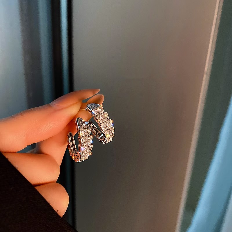 Loga.Py 蛇骨带钻耳钉女小众设计感银针冷淡风耳环耳饰2024年新款