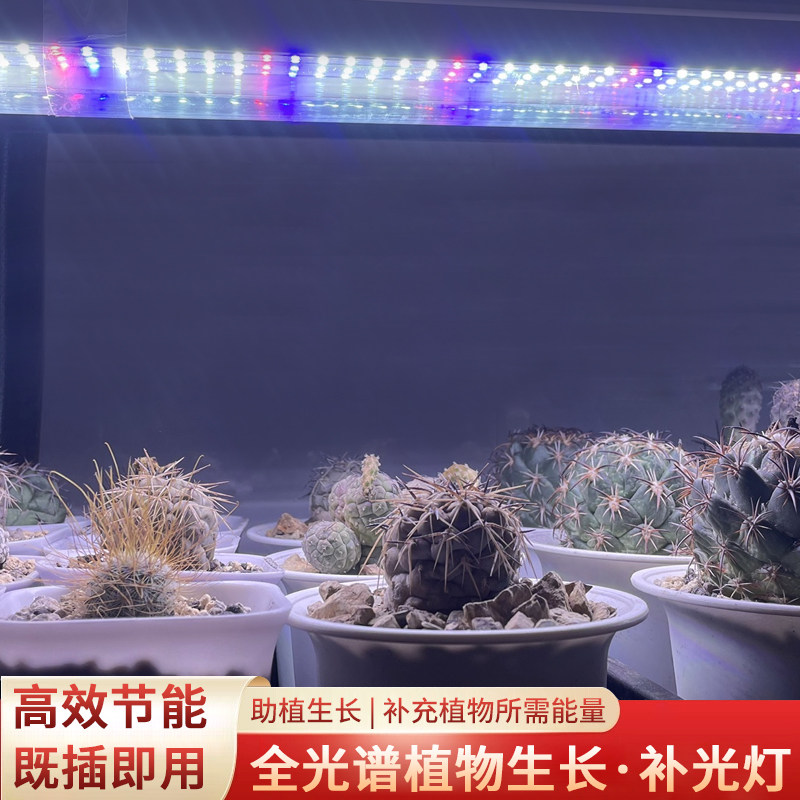 植物补光灯仿太阳光全光谱多肉上色LED植物灯家用室内热植绿植,家装灯饰光源,植物生长灯,淘宝优惠券,粉丝福利购,淘宝优惠卷