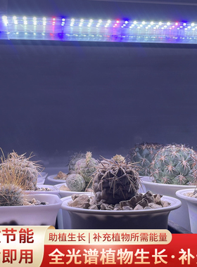 植物补光灯全光谱多肉上色仿太阳光室内热植LED专用植物生长灯
