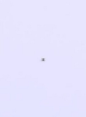 C0201X5R103K6R3NTA 贴片电容(MLCC) 10nF ±10% 6.3V 0201