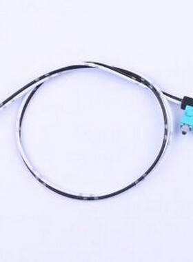 ASQ10330 行程开关 ASQ10330